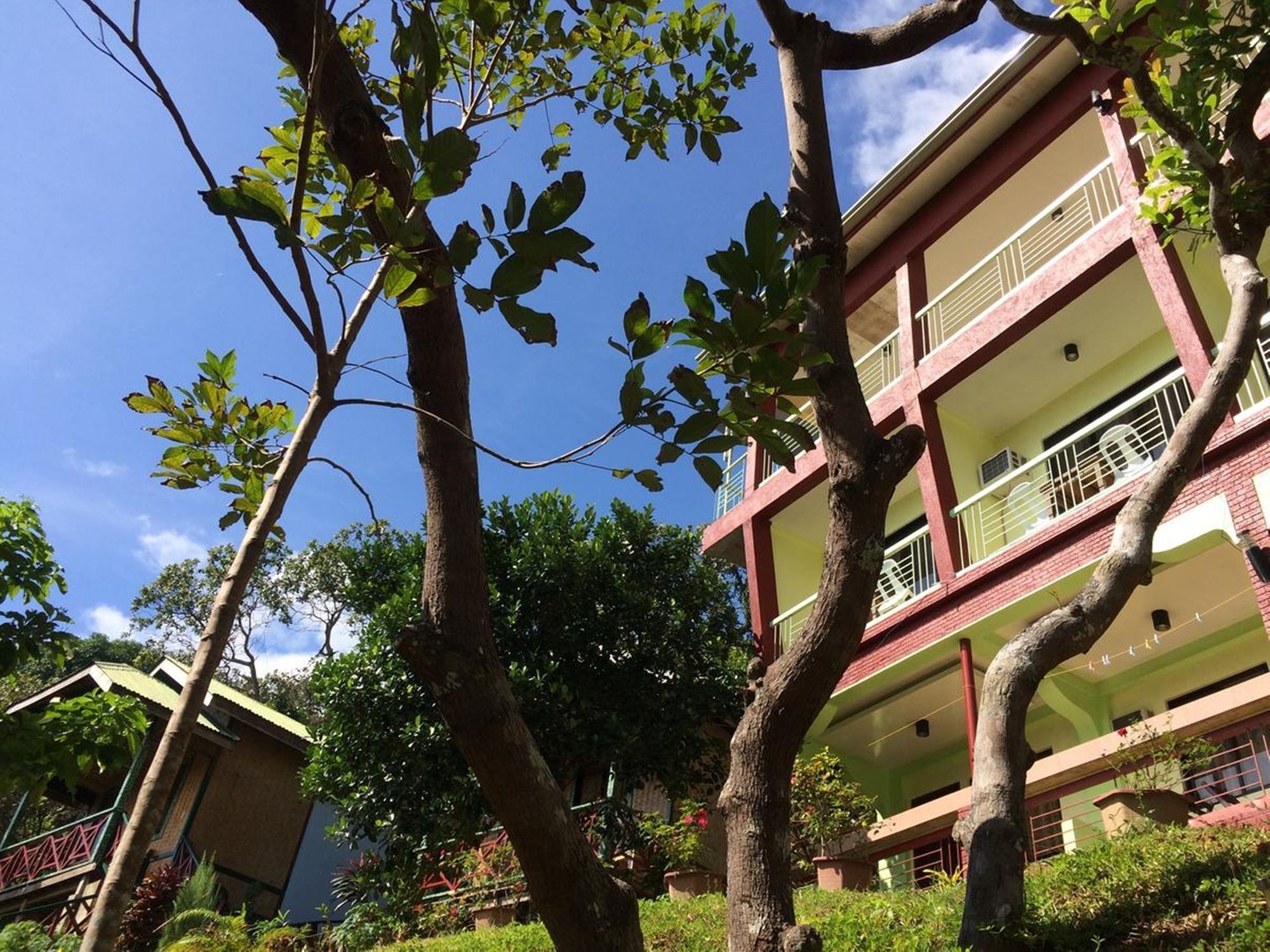 Columbus Inn El Nido Eksteriør billede